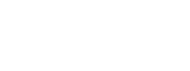 VS Legal Partners